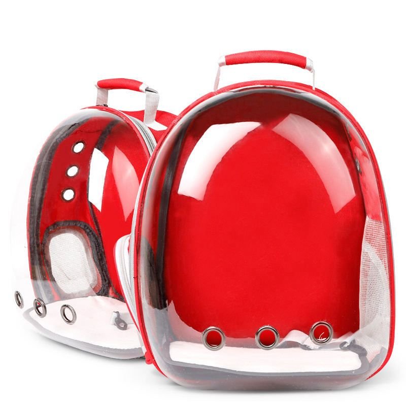 Cute & Stylish Everyday Carry Bag for Cat Lovers